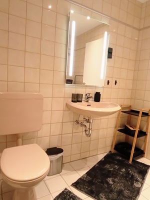 Ferienwohnung Im Hirtenberg Badezimmer